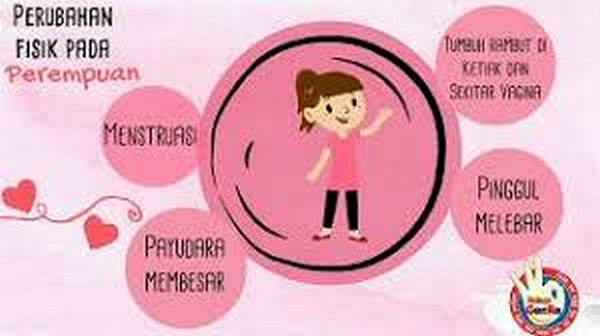 Perubahan fisik anak perempuan